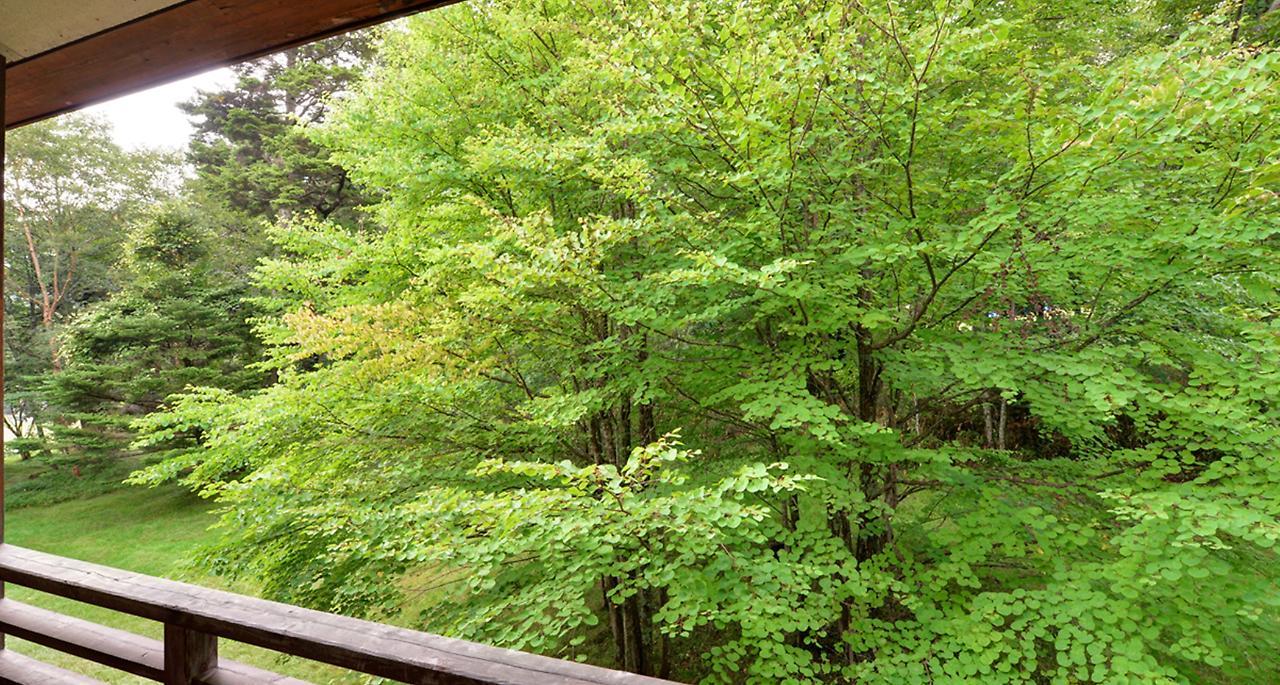 Nikko Yumoto Onsen Honokana Yado Jurin Buitenkant foto